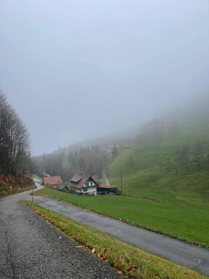 Einzigartiges Apartment, Mitten In Der Natur Ottenhofen im Schwarzwald Exterior foto